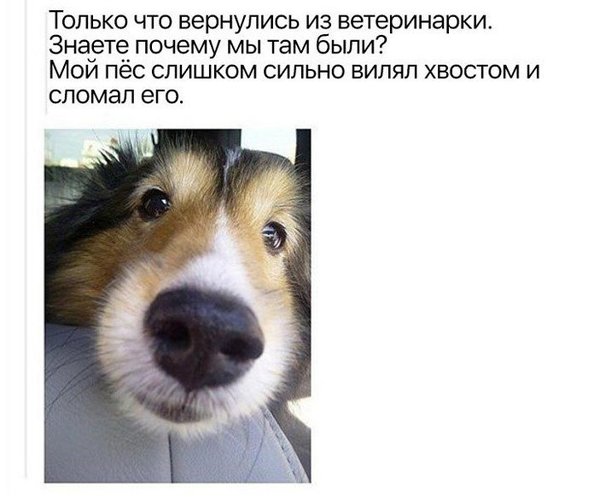 1519068267141546849.jpg (63.16 KiB) Просмотров: 1519 1519068267141546849.jpg