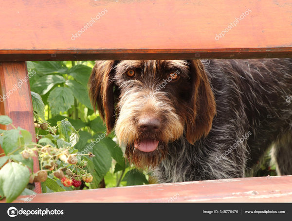 depositphotos_345778476-stock-photo-masked-spy-hidden-behind-bench.jpg (245.94 KiB) Просмотров: 3144 depositphotos_345778476-stock-photo-masked-spy-hidden-behind-bench.jpg