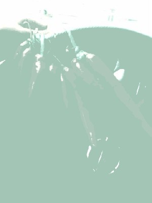 перчик.jpg (70.33 KiB) Просмотров: 3517 перчик.jpg