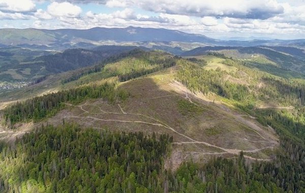 545470.jpg (58.74 KiB) Просмотров: 848 545470.jpg