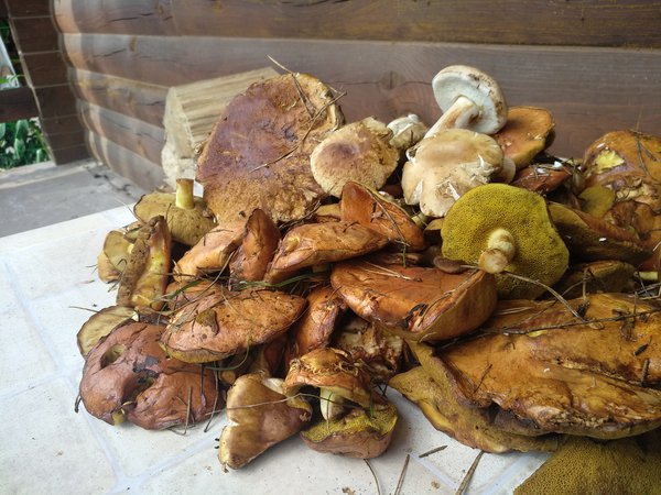 IMG_20200730_160922.jpg (2.22 MiB) Просмотров: 2878 IMG_20200730_160922.jpg