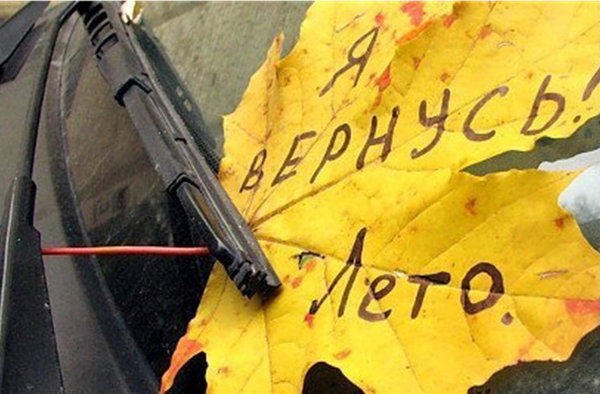 14903004.jpg (94.87 KiB) Просмотров: 2894 14903004.jpg