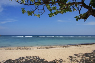 bali1.jpg (127.45 KiB) Просмотров: 2803 bali1.jpg