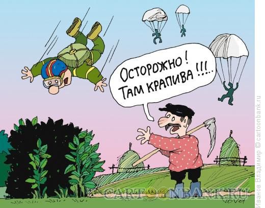 ostorozhno-krapiva.jpg