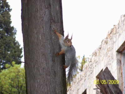 100_3044.JPG