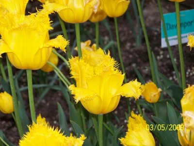 100_3038.JPG