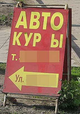 312951.jpg