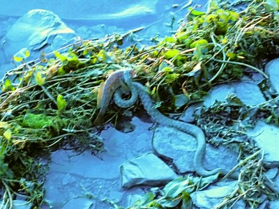 otpusgk16.jpg (556.16 KiB) Просмотров: 3391 otpusgk16.jpg