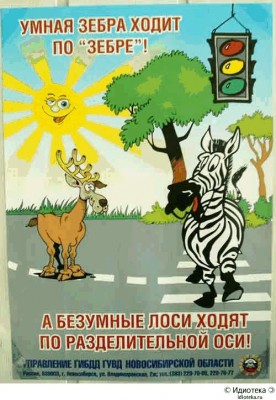 45645766.jpg