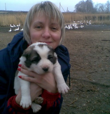 Пока можно взять на руки.jpg (100.04 KiB) Просмотров: 2195 Пока можно взять на руки.jpg