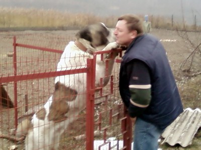 А когда-то тоже был маленьким и пушистым....jpg (112.11 KiB) Просмотров: 2194 А когда-то тоже был маленьким и пушистым....jpg