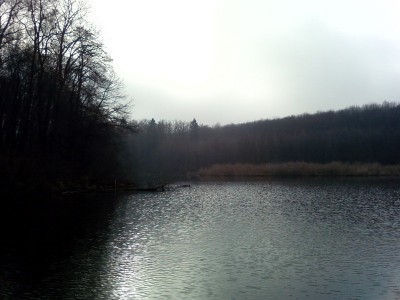 Залив.jpg (108.97 KiB) Просмотров: 2212 Залив.jpg