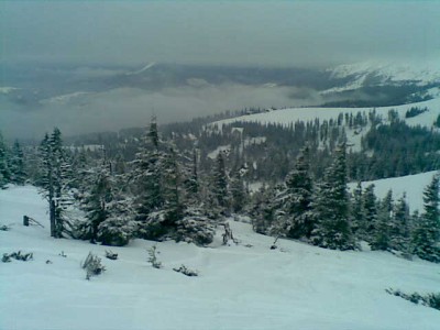13012010287.jpg (40.54 KiB) Просмотров: 6260 13012010287.jpg