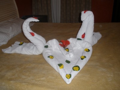 лебеди.JPG