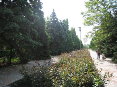 IMG_1305.jpg (141.11 KiB) Просмотров: 2342 IMG_1305.jpg