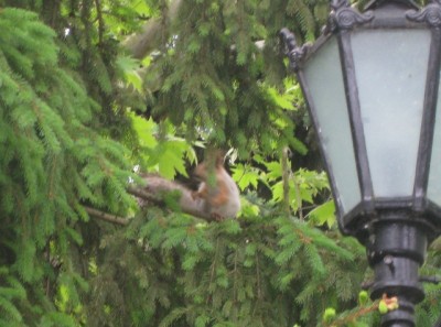 IMG_1240.jpg (119.95 KiB) Просмотров: 2343 IMG_1240.jpg