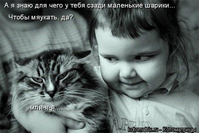 2be854d45d17.jpg