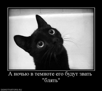 1287351158_10.jpg