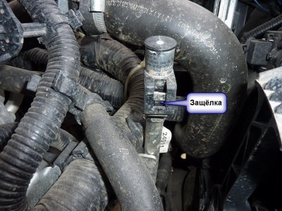 P1000524.jpg (161.8 KiB) Просмотров: 3234 P1000524.jpg