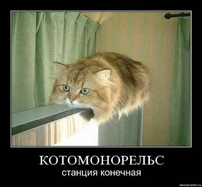 Котомонорельс.jpg