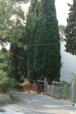 6 (4).jpg (153.26 KiB) Просмотров: 3254 6 (4).jpg