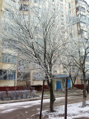 Winter Mystery 1.jpg