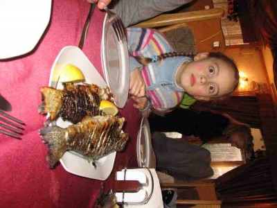 IMG_0091_small.jpg