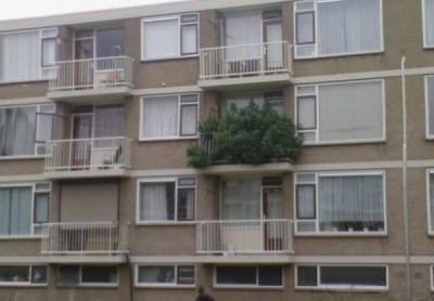 goladskij-zimnij-sad-2-foto_1.jpg