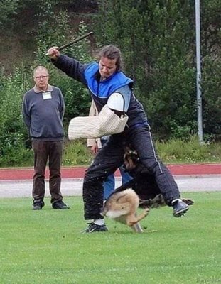 veselaja-podborka-neudach-39-foto_35.jpg