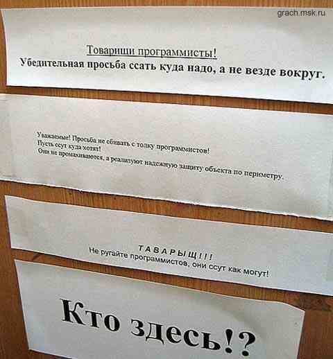 229.jpg
