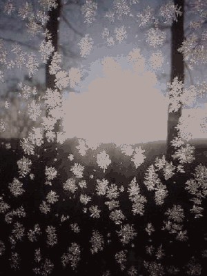 SP_A0085_qc1.jpg (31.15 KiB) Просмотров: 2708 SP_A0085_qc1.jpg