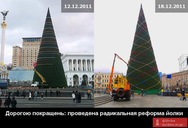ЙОЛКА.jpg