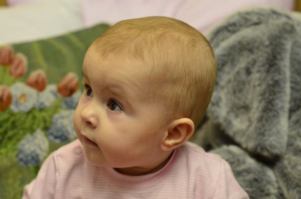 P3.jpg (91.84 KiB) Просмотров: 1365 P3.jpg