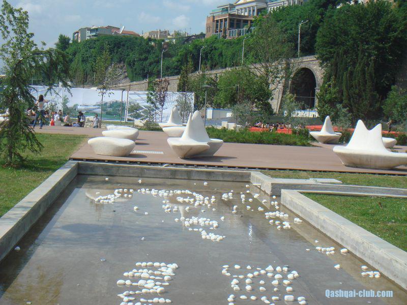 tn DSC05169