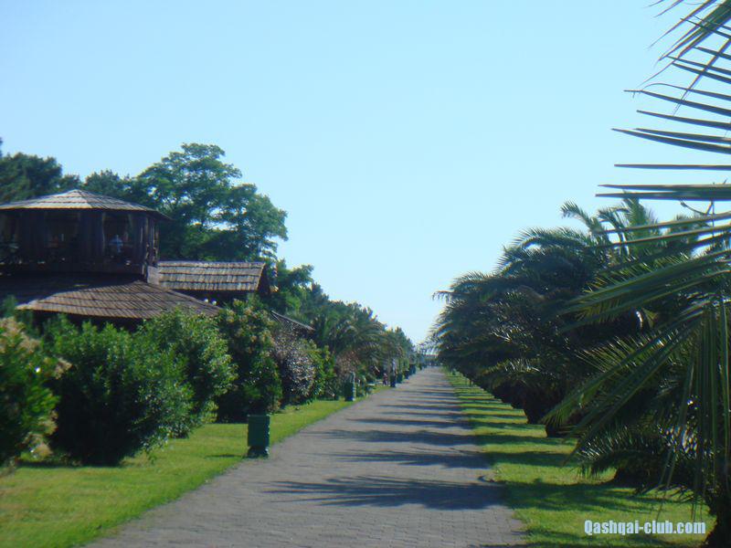 tn DSC05343