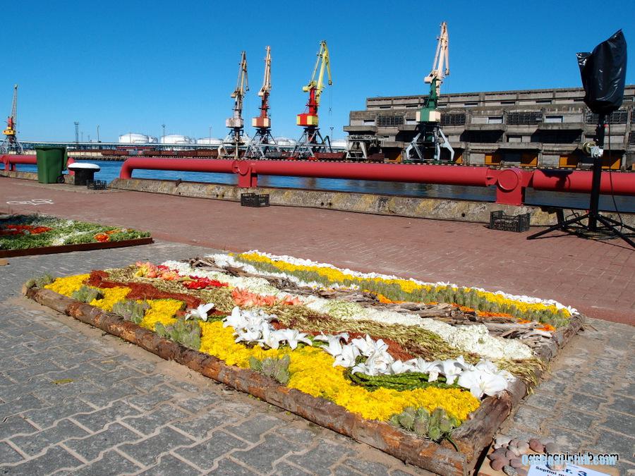 P8038570