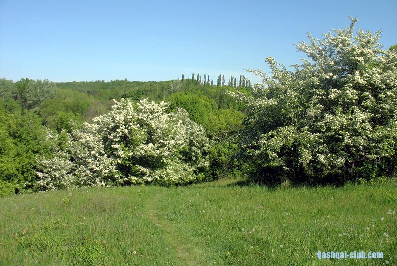 Traven-dendropark 010