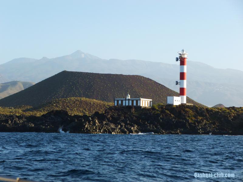 Канары2014-45