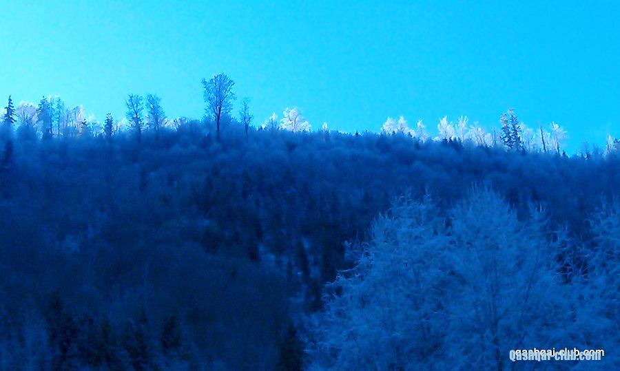 IMAG0542