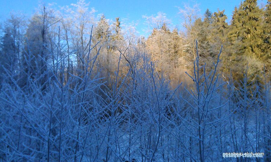 IMAG0557