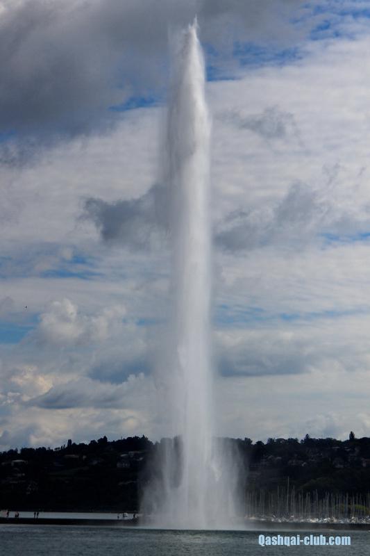 IMG 5818 web