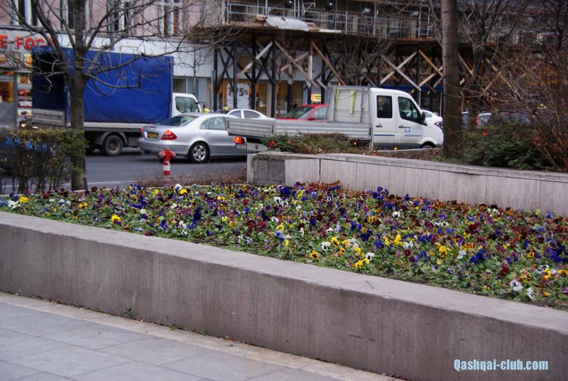 Австрия 2012