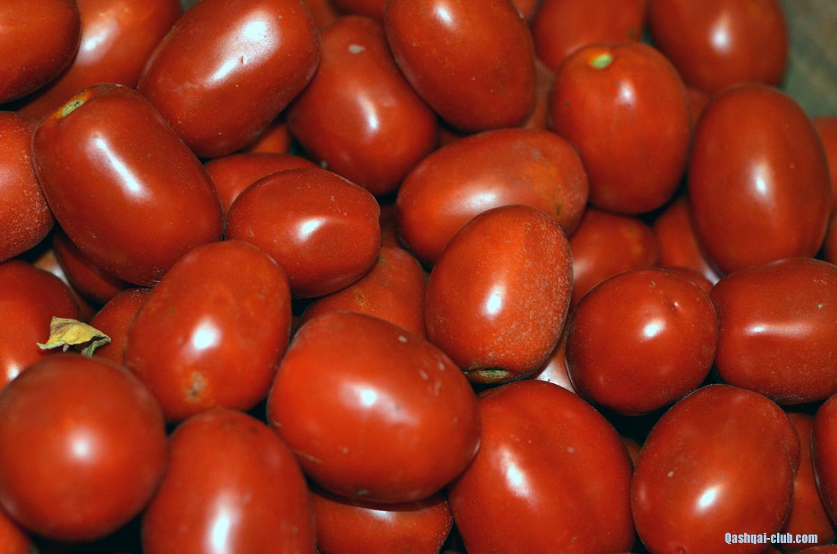 tomato 1