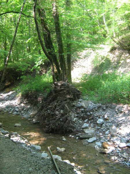 тропка 3.JPG (305.85 KiB) Просмотров: 2777 тропка 3.JPG