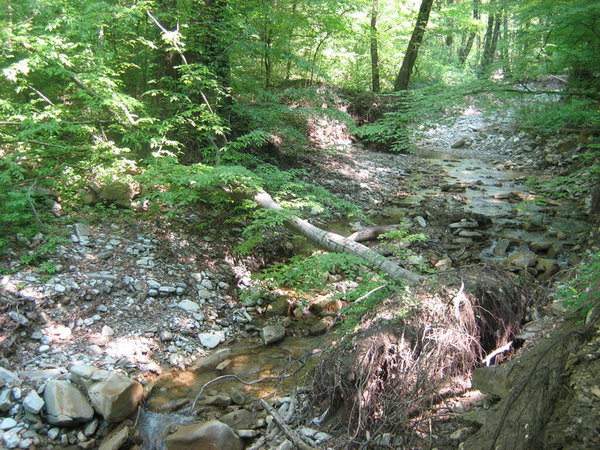 тропка 2.JPG (349.92 KiB) Просмотров: 2777 тропка 2.JPG