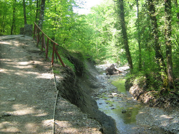 тропка 1.JPG (338.92 KiB) Просмотров: 2777 тропка 1.JPG