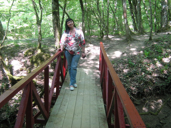 мостик 1.JPG (296.4 KiB) Просмотров: 2777 мостик 1.JPG