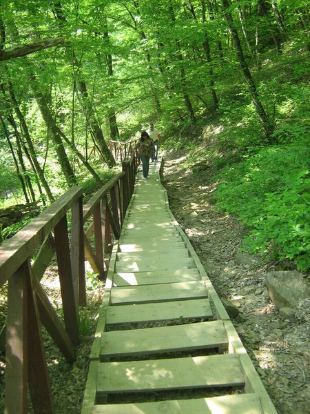 лестница 1.JPG (293.02 KiB) Просмотров: 2777 лестница 1.JPG