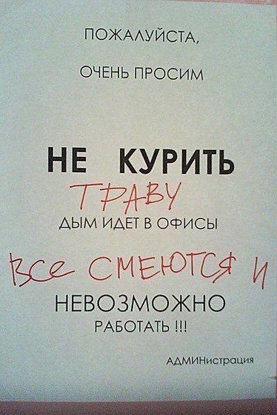 Все смеются.jpg