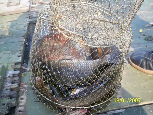 100_4995 - копия.JPG (1017.09 KiB) Просмотров: 1955 100_4995 - копия.JPG